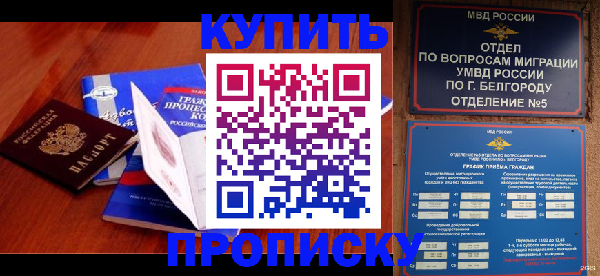 прописка гарантия в Губкине